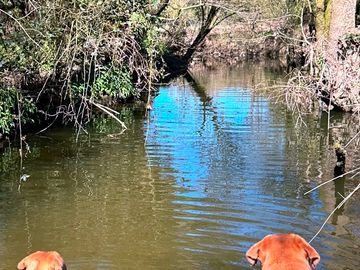 River access from the adults-only field