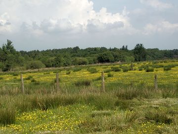 Wild camping area