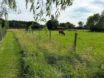 Mown path around the edge to start your walk to local village from field house farm