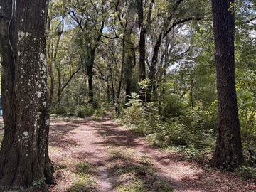 Path to sites in woodland