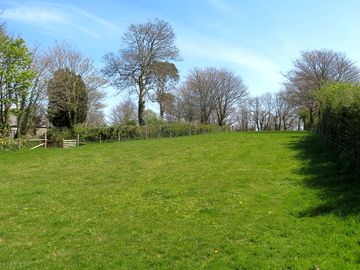 Grass field