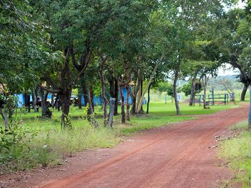 Path through the pitches