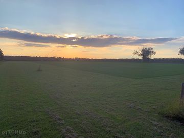 Camping field at sunset