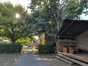 The site