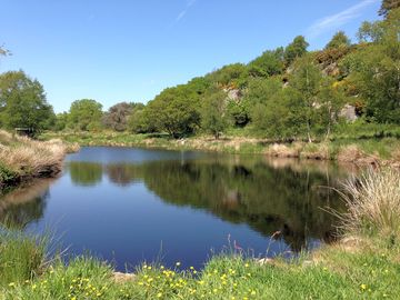 Fly fishing pond