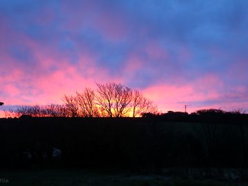 Sunrise over the site