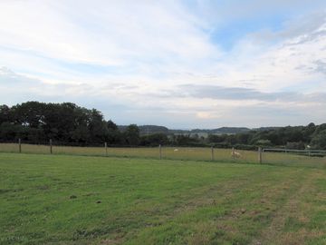 View of the site
