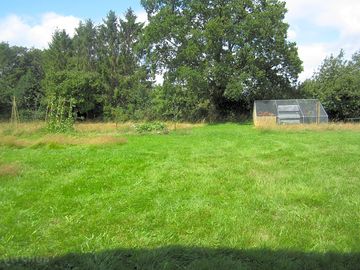 View across the paddock towards the chickens