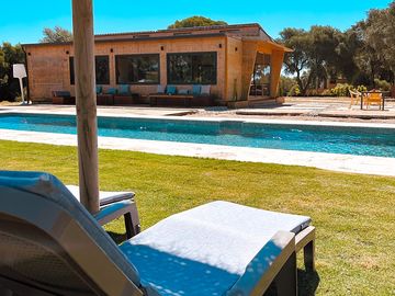 Pool and sun loungers
