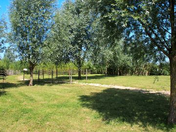 Nice area to have a picnic