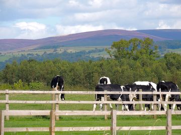 Views of the bowland fells