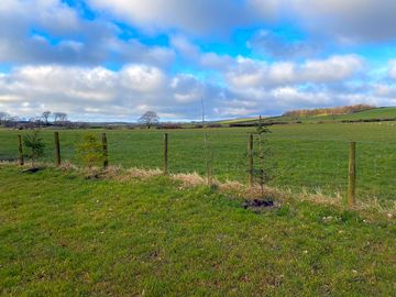Pitches with rural views