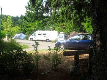 Pitches surrounded by trees