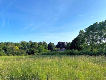 Wild pitch with cornbury views