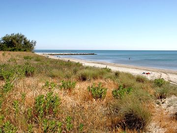 Sandy beach near the site