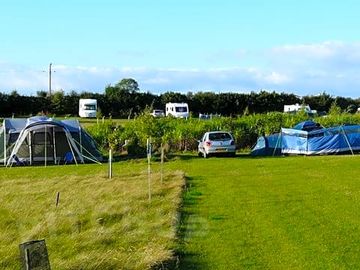Large pitches accommodate sizeable tents and your car without being too close to your few neighbours