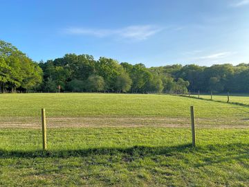 Field