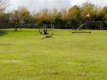 Play area for humans and wildlife