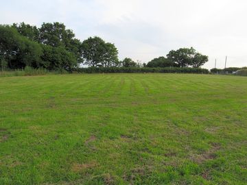 Grass pitches