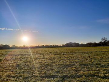 Grassy pitches