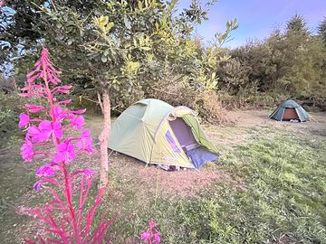 Camping pitch