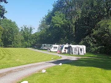 Pitches backed by trees