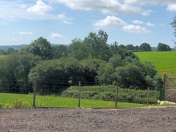 Rural vistas
