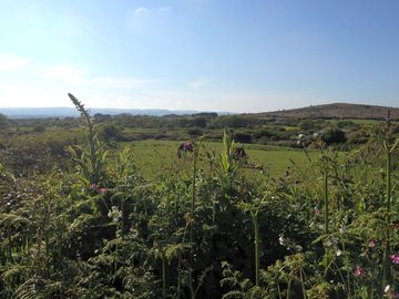 Surrounding area