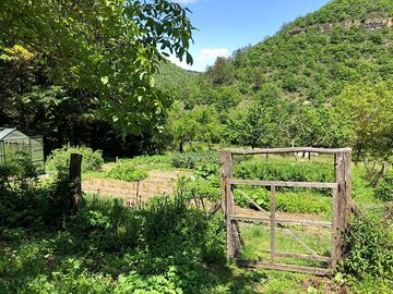 The site's vegetable patch