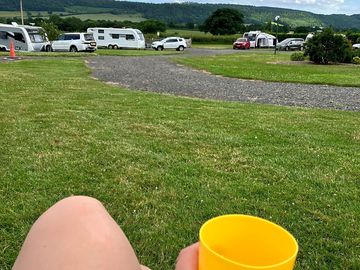 The view
