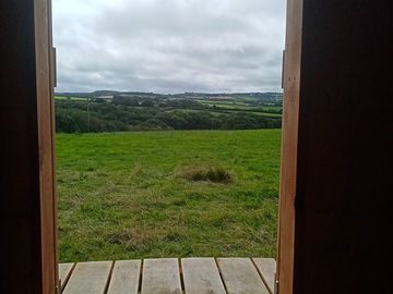 Views from the cabin
