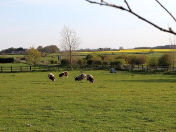 Neighbours