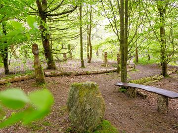 Woodland