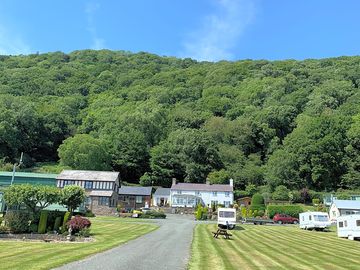 Woodland around park