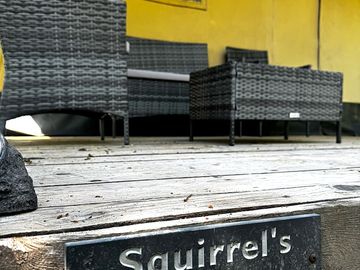Welcome to squirrel's drey