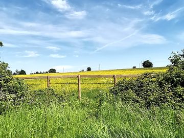 Lots of walks across the farm