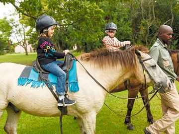Horse riding can be arranged