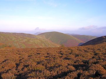 Long mynd
