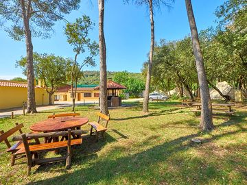 Zona picnic