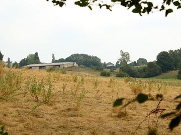 Views over fields