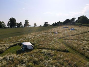 Each pitch has its own separate path to allow guests to move about the site without disturbing other