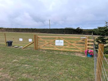 Dog exercise area