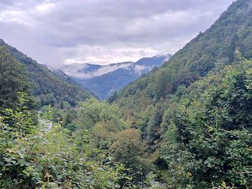 Views around the site