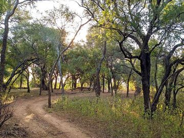 Trail on site