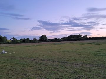 The field at dusk