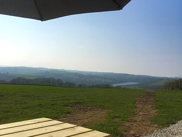 View from the picnic table