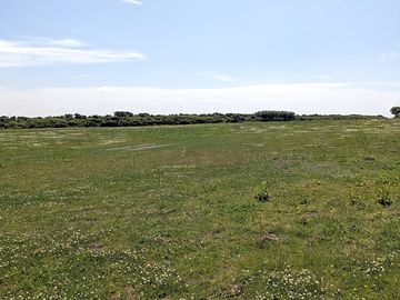 View of camping field