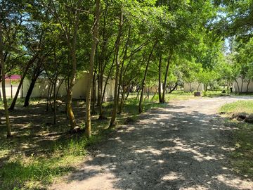 Glamping tents tucked under trees