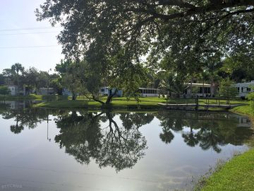 View of the lake