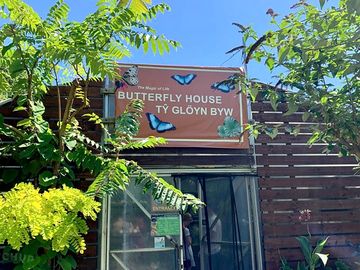 Magic of life butterfly house